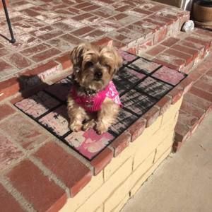 Meet your Posher, Randy